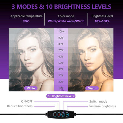 10" LED Ring Light with Adjustable Tripod Stand, Desk Mount & Bluetooth Remote