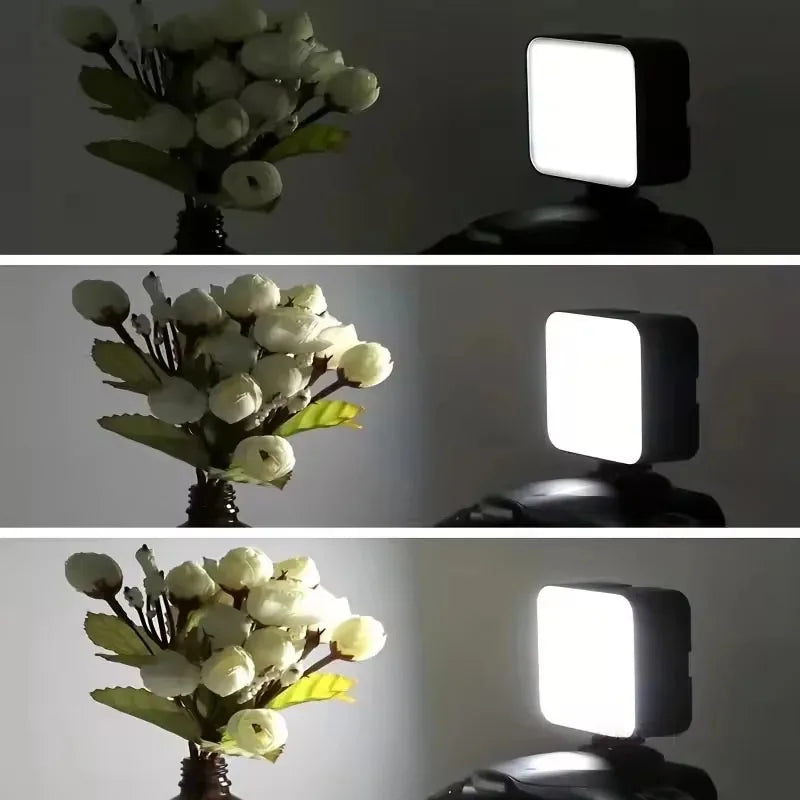 Professional Clip On Phone Ring Light with 10 Brightness Levels USB
