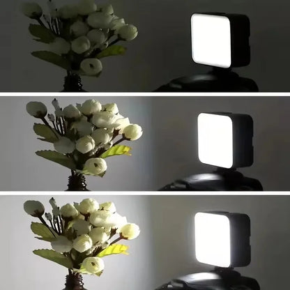 Professional Clip On Phone Ring Light with 10 Brightness Levels USB