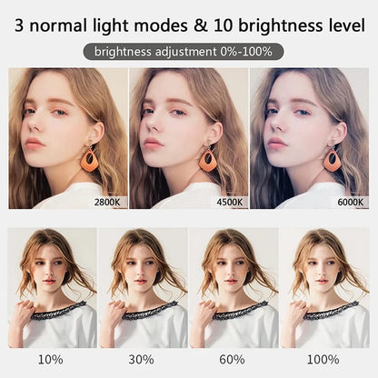 10 inch LED Selfie Ring Light Dimmable Photography Fill Lamp with Mini