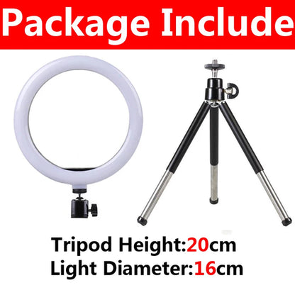 10 inch LED Selfie Ring Light Dimmable Photography Fill Lamp with Mini