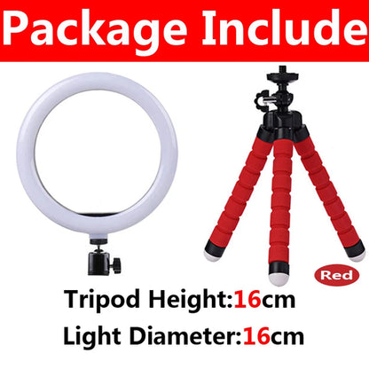 10 inch LED Selfie Ring Light Dimmable Photography Fill Lamp with Mini