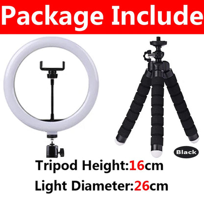 10 inch LED Selfie Ring Light Dimmable Photography Fill Lamp with Mini