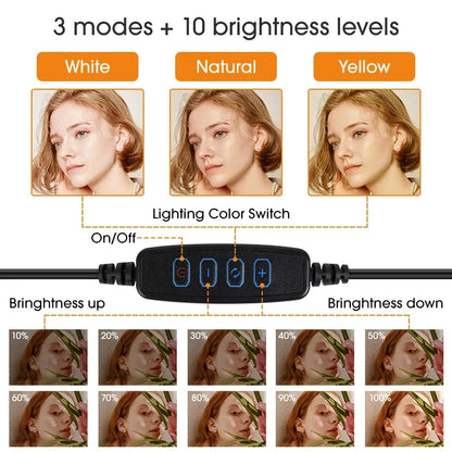 10 inch LED Selfie Ring Light Dimmable Photography Fill Lamp with Mini